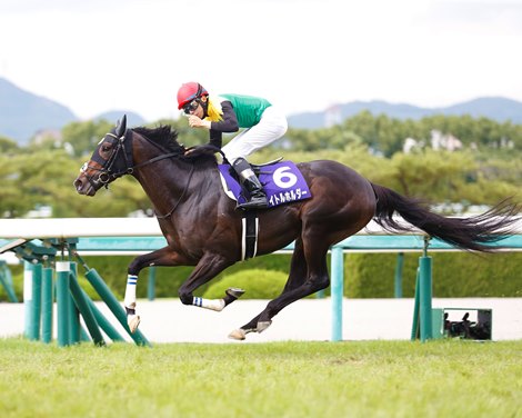 2022 title winner Takarazuka Kinen at Hanshin Racecourse