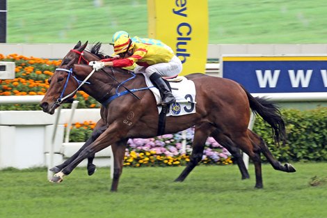 Racing at Sha Tin