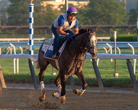 Creative Minister gallops over the main track, as the colt prepares for the running of the 154th Belmont Stakes, (GR 1), on Saturday, June 11, 2022.