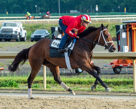 Mo Donegal, with Fernando Rivera in the irons, gallops around the training track at Belmont Park