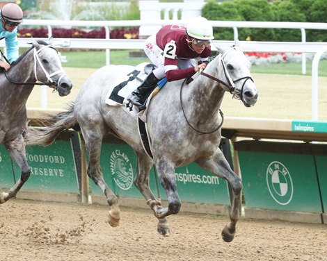 WICKED HALO - The Leslie&#39;s Lady Overnight Stakes -Churchill Downs - 06-12-22