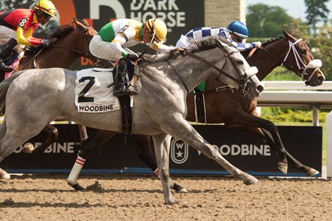 Toronto On.June 11, 2022.Woodbine Racetrack.Jockey Rafael Hernandez guides Moira to victory (#5) over #2Pioneer&#39;s Edge (green &amp; yellow silks)in the $125,000 dollar Stella Artois Fury Stakes.Moira is owned by X-Men Racing LLC, Madaket Stables LLC and SF Racing LLC and trained by Kevin Attard. Woodbine/ Michael Burns Photo