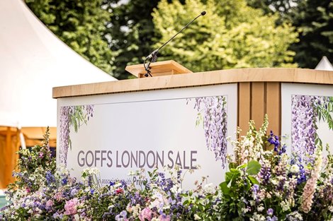 Scene, 2022 Goffs London Sale