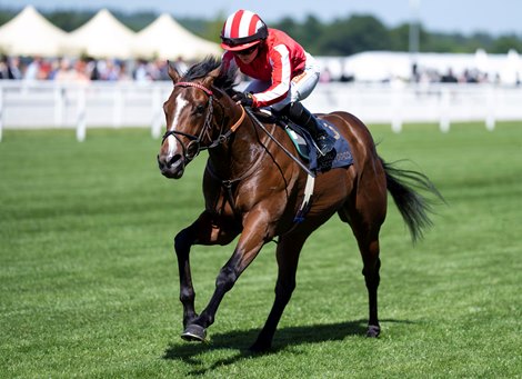 Bradsell (Hollie Doyle) wins the Coventry Stakes Royal Ascot 14.6.22 Pic: Edward Whitaker