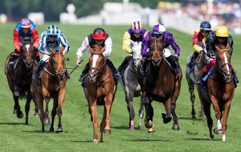 Kyprios, third from left, wins the Gold Cup