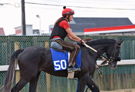 Rebekah Hammond and Rough and Rowdy at the Midlantic Two-Year-Olds in Training Sale