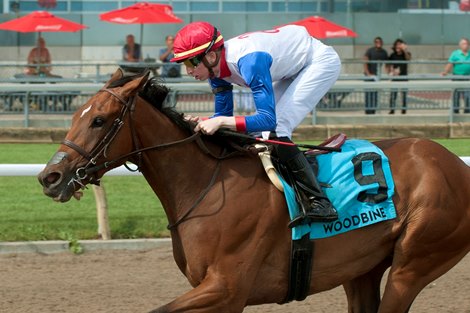 Jockey Declan Carroll guides Sir for Sure to victory in the $150,000 Plate Trial Stakes. Sir for Sure is owned by Heste Sport Inc and trained by Mark Casse.