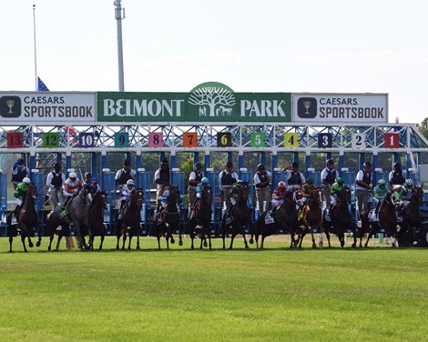 Racing at Belmont Park