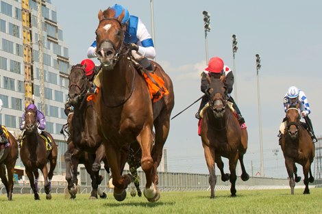 Jockey Luis Contreras guides Filo Di Arianna to victory in the $175,000 dollar Connaught Cup.<br><br />
Owned by Gary Barber, Wachtel Stable and Peter Deutsch and trained by Mark Casse,