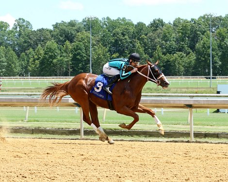 Two Phil&#39;s - 071822 - R01 - Colonial Downs - Maiden