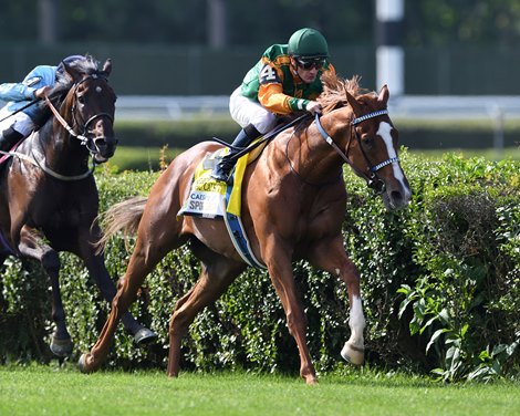 Classic Causeway wins the 2022 Caesars Belmont Derby Invitational Stakes at Belmont Park
