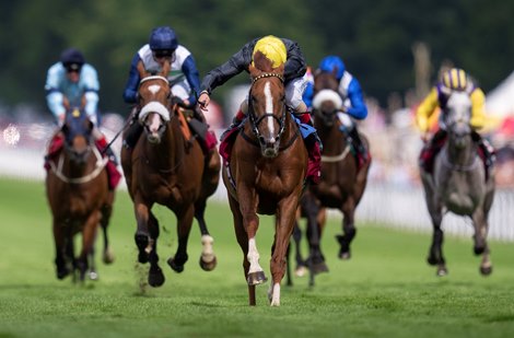 Stradivarius finishes 2nd in the Goodwood Cup<br><br />
Goodwood 26.7.22 Pic: Edward Whitaker