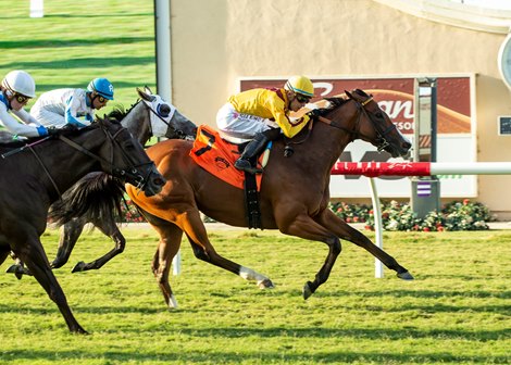 Twilight Gleaming and jockey Juan Hernandez, right, outleg Xmas Surprise (Jessica Pyfer), left, and Leggs Galore (Ricardo Gonzalez), inside, to win the $100,000 Daisycutter Handicap, Friday, July 29, 2022 at Del Mar Thoroughbred Club, Del Mar CA.<br><br />
&#169; BENOIT PHOTO