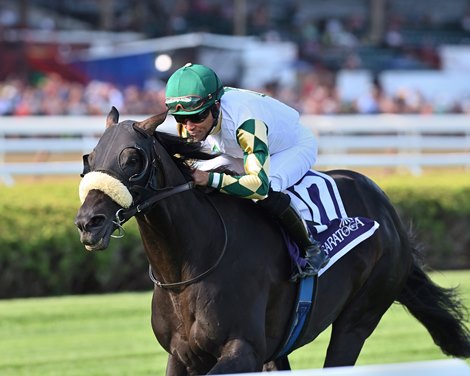 City Man wins the 2022 Forbidden Apple Stakes at Saratoga