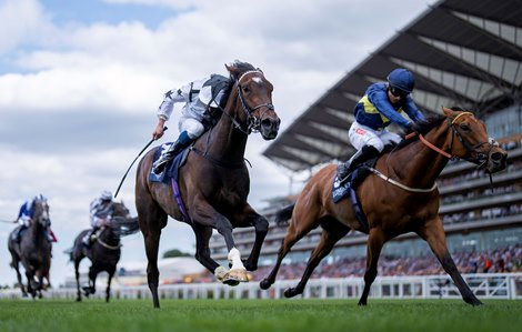 Jumbly (Hollie Doyle,right) gets up on the line to beat Oscula in the Valiant Stakes<br><br />
Ascot 23.7.22 Pic: Edward Whitaker