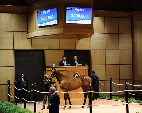 Hip 247, 2022 Fasig-Tipton July Selected Yearlings