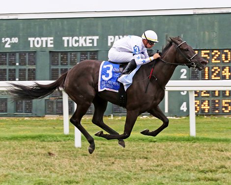 Princess Grace #3 captures her second straight $200,000 Grade III Dr. James Penny Memorial, surpassing $1 million in career earnings on July 12, 2022 at Parx Racing in Bensalem, PA. Ridden by Florent Geroux, the five-year-old daughter of Karakontie is a homebred for John and Susan Moore&#39;s M and M Stable and is trained by Michael Stidham. Photo by Barbara Weidl/EQUI-PHOTO.