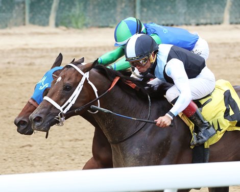 Aloha West wins 2022 Kelly&#39;s Landing Overnight Stakes at Churchill Downs