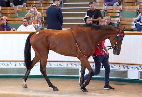 Lot 540 Grenoble (GB) 2019 B.G.  BY Siyouni (FR) EX Giants Play (USA)      Somerville Lodge Ltd. (W. Haggas), Agent    Mark Pilkington Management / William Johnson Bloodstock    130,000   Tattersalls July Sale 07/07/22
