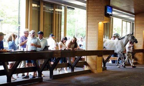 Scenics, 2022 Fasig-Tipton July Selected Yearlings and Selected Horses of all Ages Sale