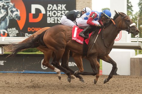 Jockey Jason Hoyte guides Hazelbrook to victory in the $150,000 dollar Hendrie Stakes. Hazelbrook is owned by True North Stable and trained by Lorne Richard.