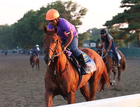 Morning Line Favorite for the $1,000,000 Haskell Stakes, Taiba with exercise rider Na Somsanith, gallops on the track at Monmouth Park Racetrack in Oceanport, NJ on Friday morning in preparation for tomorrow's Grade 1 contest.  Taiba, is trained by nine time Haskell winning trainer Bob Baffert.  Photo By Bill Denver/EQUI-PHOTO