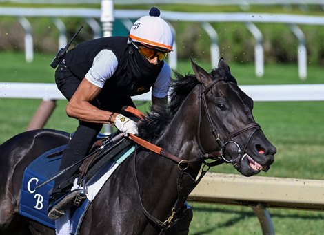 Possible Jim Dandy entrant Zandon breezed this morning with exercise rider Kriss Bon at the Saratoga Race Course Saturday July 23, 2022 in Saratoga Springs N.Y.