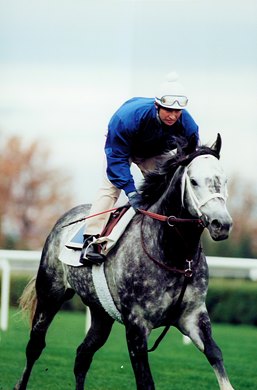 Dumaani prepping for the 1996 Breeders' Cup
