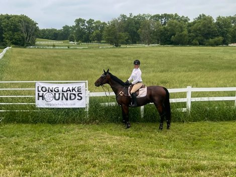 Andrea Keacher foxhunting with Baymax (not registered name)