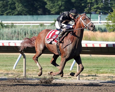#1 Cyberknife with Florent Geroux riding slipped past #2 Taiba on the rail to win the $1,000,000 G1 Haskell Stakes at Monmouth Park Racetrack in Oceanport, NJ on Saturday July 23, 2022