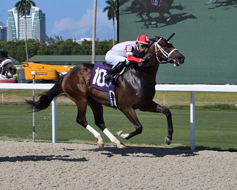 Chasing Artie wins the 2022 Bob Umphrey Sprint Stakes at Gulfstream Park