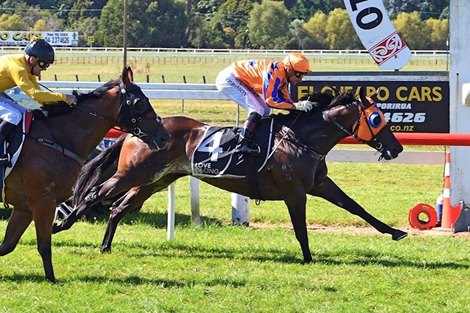 Avantage wins the 2021 El Cheapo Cars Weight-For-Age Classic