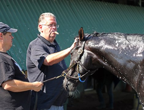 Trainer Dale Romans pats the head of his Haskell Stakes contender Howling Time as Jason Cook looks on during a morning bath on Wednesday morning at Monmouth Park Racetrack in Oceanport, NJ Photo By Bill Denver/EQUI-PHOTO.