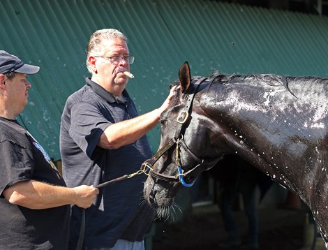 Coach Dale Romans pats his Haskell Stakes Howling Time contender on the head as Jason Cook watches during his morning shower Wednesday morning at Monmouth Park Raceway in Oceanport, NJ Bill Denver/EQUI-PHOTO photo.