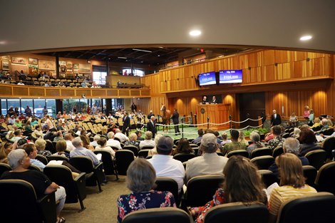 Scenics, 2022 Fasig-Tipton New York Bred Yearlings Sale in Saratoga Springs NY.