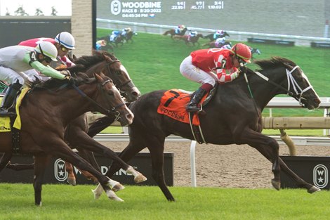 Jockey Kazushi Kimura (#7 red silks) guides Philip My Dear to victory in the $125,000 dollar Soaring Free Stakes