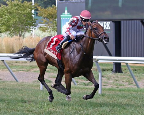 No. 1 Bay Storm ridden by Jockey Jaime Rodriguez won a staggering $100,000 in revenge bets at Monmouth Park Speedway in Oceanport, NJ on Sunday, August 7, 2022. Photo by Bill Denver/EQUI-PHOTO