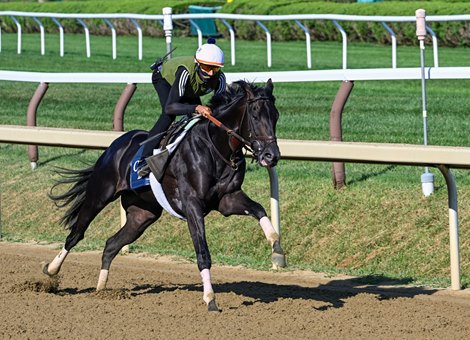 Travers can bet Zandon entrants to wind up on the main track at Saratoga Racecourse Saturday, August 20, 2022 in Saratoga Springs NY Special photo for Times Union by Skip Dickstein