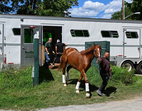 2022 Kentucky Derby winner Rich Strike arrived at the Saratoga Race Course Sunday Aug. 14, 2022 in Saratoga Springs N.Y. Rich Strike is scheduled to run in The Travers Stakes on Saturday the 27th.  Photo  Credit:  Photo Special to the Times Union by Skip Dickstein
