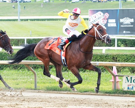 Skippylongstocking wins 2022 West Virginia Derby at Mountaineer