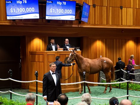 Hip 78 a yearling colt by Justify out of Slews Golden Rule, was consigned to the August yearling session of The Saratoga Sale on Aug. 8, 2022, in Saratoga Springs, N.Y.