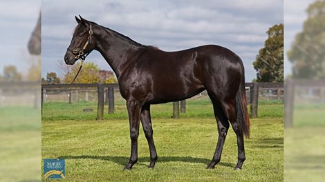 Rob Ferguson's three-hour buying session included Lot 1522. Lonhro $160,000.