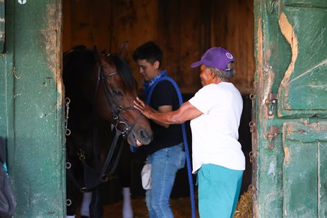 Erma Scott and Art Collector at the Bill Mott barn at Saratoga Race Course