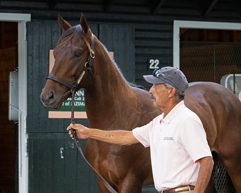 Hip 34 colt by Munnings out of Mzima Springs at Bluegrass Thoroughbred Services, agent for Merriebelle Stable<br>
Sales scenes, hips and people at The Saratoga Sale at Fasig-Tipton  in Saratoga Springs, N.Y., on Aug. 5, 2022.