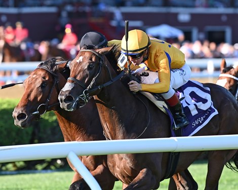Boppy O wins the With Anticipation Stakes at Saratoga