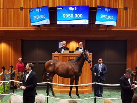 Hip 9, 2022 Fasig-Tipton Saratoga Selected Yearling Sale