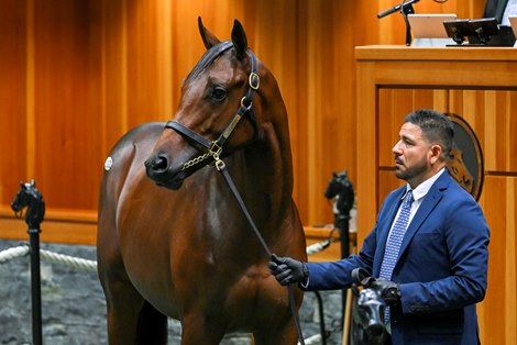 Hip 202 a yearling colt by Gun Runner out of Heavenly Love, was consigned to the August yearling session of The Saratoga Sale on Aug. 9, 2022, in Saratoga Springs, N.Y.