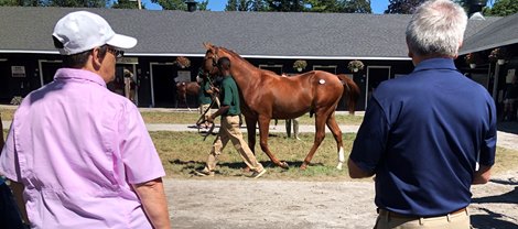 Scenics 2022 Fasig-Tipton New York Bred Yearlings Sale in Saratoga  Springs NY.