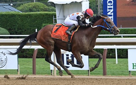 Vallelujah - Alw - SAR - 081322