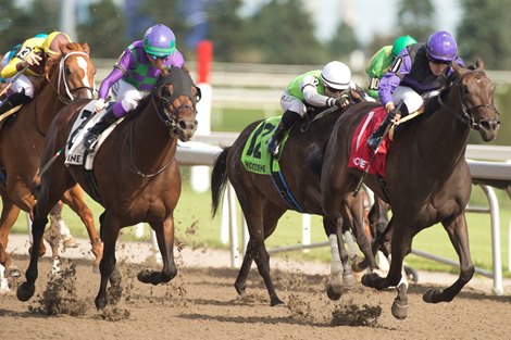 Jockey Eswan Flores of the Secret Reserve won $150,000 in Bold Venture (Class III) stake in Woodbine.  Owned by Carlo D & # 39;  Amato and Stacey Van Camp, The Sanctuary of Secrets is coached by Michael Mattine.